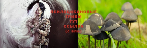 бошки Лихославль