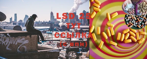 PSILOCYBIN Липки