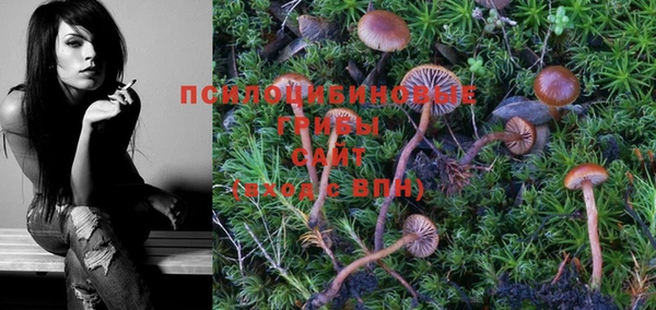 стафф Магадан
