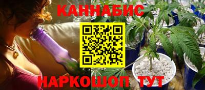 индика Гусь-Хрустальный