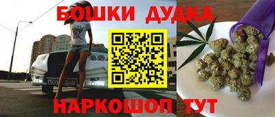 индика Гусь-Хрустальный